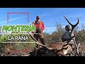 MONTERÍA LA RAÑA 2022 | C D MONTEROS DE POZOBLANCO #160