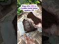 eggless tea cake .6 varieties of tea cake #music #brownie #baking#teacake#onlineclass #egglessbakes