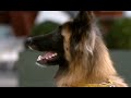 Channel 4 - Sperm Race - TV Adverts Commercials - 2009