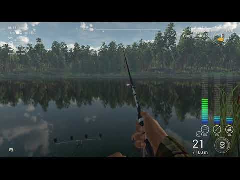 catching carp on float fishing on lesni vila fishery in fishing planet catching carp on float fishing on lesni vila fishery in fishing planet
