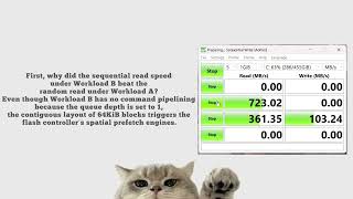 Presentation & Demonstration video of final project COA using CrystalDiskMark tool 