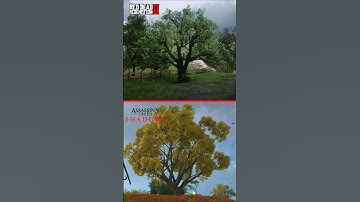 RDR 2 vs Assassins Creed Shadows - Environment Comparison! #rdr2 #gaming #acshadows #shorts