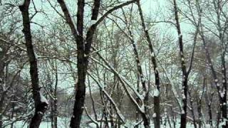 MOV00148.AVI