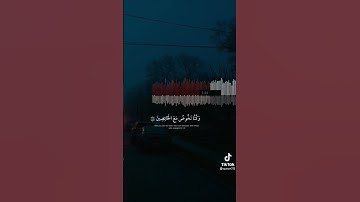 قالو لم نك من المصلين | القارئ شريف مصطفى