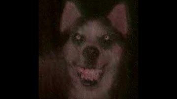 lieu - maybe ill feel better next year (deleted)