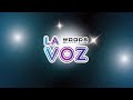 LA VOZ WOODS 1 - 2020 - Final (Videoflyer)