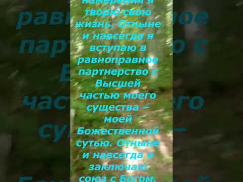 СИЛА НАМЕРЕНИЯ