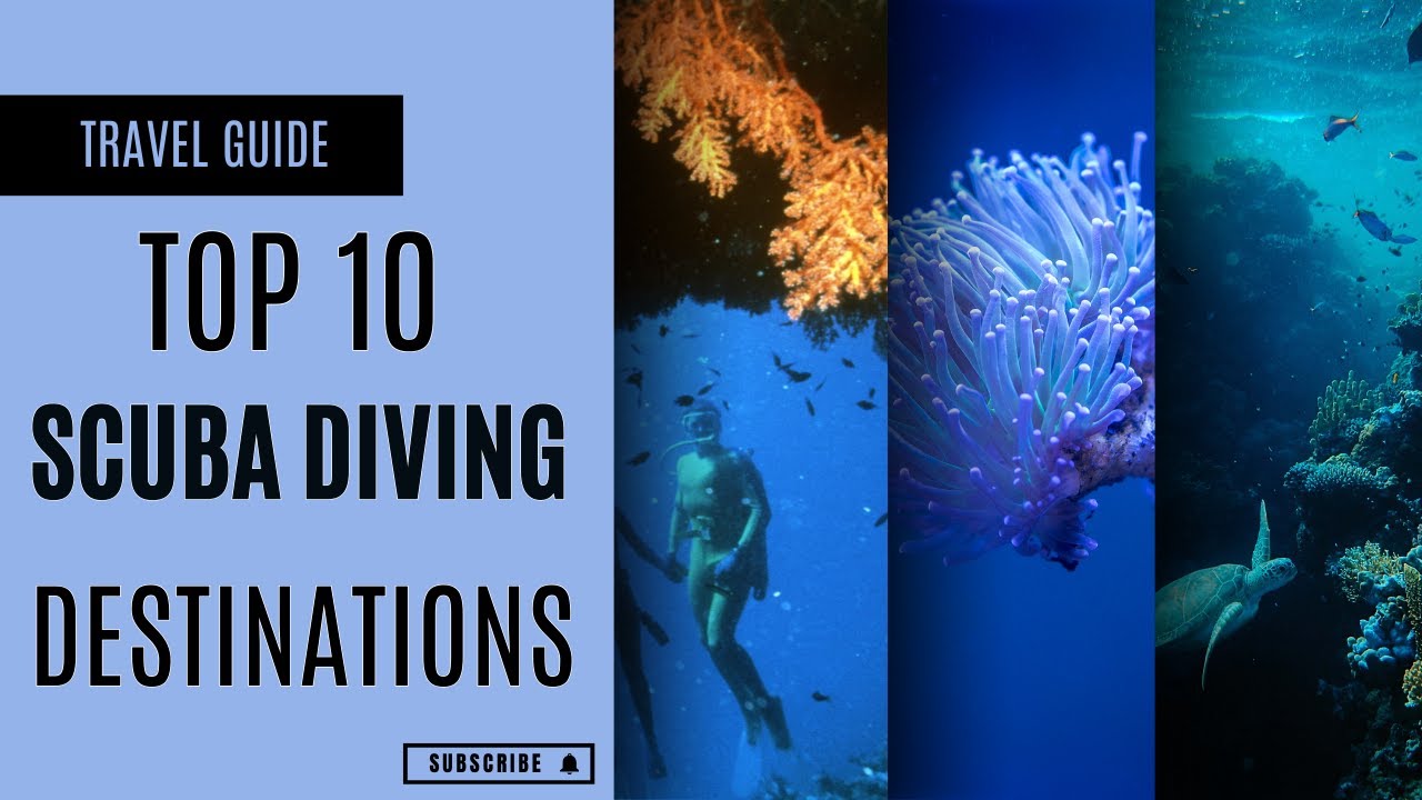 Top 10 Scuba Diving Destination in the World