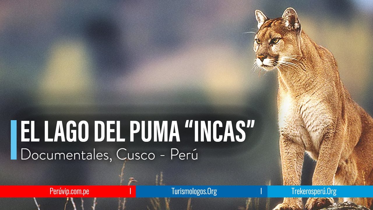 🇵🇪 El mejor documental "EL LAGO DEL PUMA" TITICACA 2022" | Picchu | Perú Vip | Cusco 🇲🇽🇧🇷🇺🇸🇦🇷 - YouTube