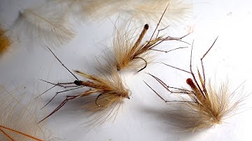 Tying the McPhail CDC Daddy by Davie McPhail