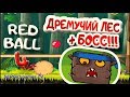 Игра RED BALL 4//КРАСНЫЙ ШАР ПРОТИВ ЧЕРНОГО КВАДРАТА//ДРЕМУЧИЙ ЛЕС