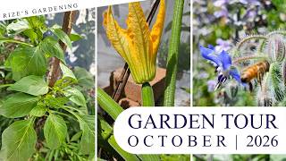 Backyard Garden Tour! I October 2026 (Spring is here, flowers blooming & bees buzzing!)