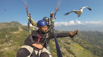 Clicker Training Fundamentals Intro (part 1/3).