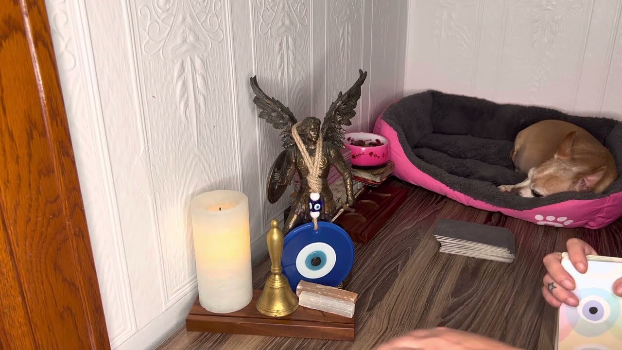 CAPRICORN ♑️ - EMBRACE YOUR INNER LEADER & PREPARE TO TAKE -OFF !! - NOVEMBER 2022