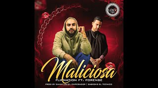 Maliciosa, Te Gusta El Reggaeton? Flow Discoteka.