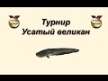 Русская Рыбалка 3.99 Турнир Усатый великан #2