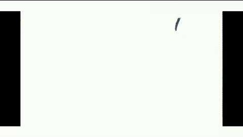 Grading and reporting system