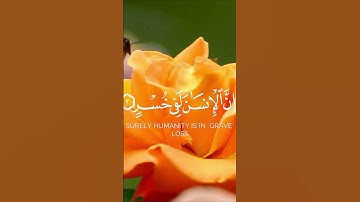 "سورة العصر: دروس الصبر والنجاح في زمن السرعة"#القرآن #تلاوة_خاشعة #راحة_نفسية