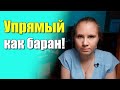 Как бороться с детским упрямством? Как воспитывать упрямого ребенка?