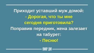 МУЖ и ЖЕНА забавные приколы | Смешные высказывания на каждый день - ЮМОР ДНЯ