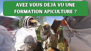 Même pas peur, je me forme enfin à l'apiculture de loisir