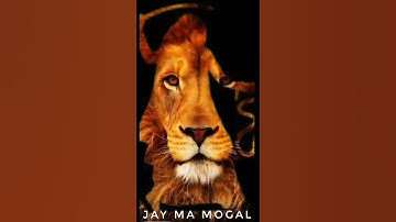 Mogal ma Status ❤️ || mogal ma new status || mogal ma HD  song#short #shorts #youtubeshorts #mogal