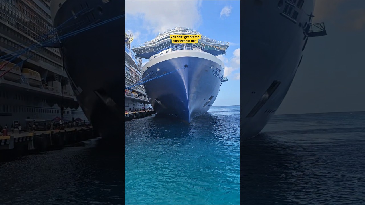 You have to have this! #cruiseship #celebrity #cruise #musician #i95 #traveler #livingonacruiseship