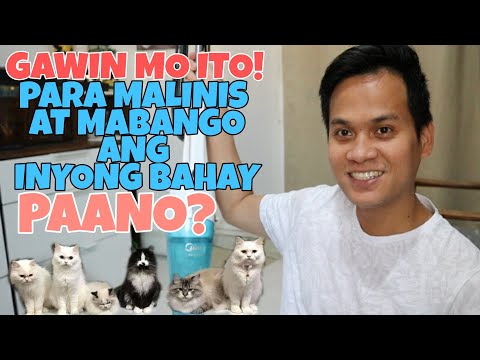 Video: Paano mabilis na matanggal ang pagkadumi sa isang pusa sa bahay