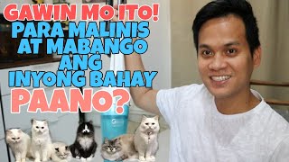 PAANO MANATILING MABANGO AT MALINIS ANG BAHAY KAHIT MAY ALAGANG PUSA | HOW TO GET RID OF PET ODOR