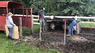 Pig loading is hard