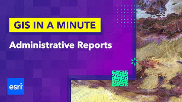 Administrative Reports