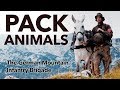 Pack Animals - the 🇩🇪 German Mountain Infantry Brigade Mp3 Song