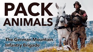 Pack Animals - the  German Mountain Infantry Brigade