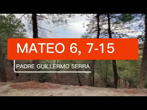 ✴️ EVANGELIO del DÍA 22 de JUNIO con el PADRE GUILLERMO SERRA 📌 MATEO 6, 7-15