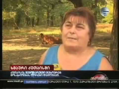 ეგი რესტორანში ხო არ დადისო