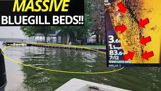 FIND BLUEGILL BEDS (MASSIVE) and How to Catch them (FAST)!