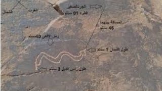 تفسير إشارة الحية المنقوشة على الصخور في عالم دفائن وكنوز