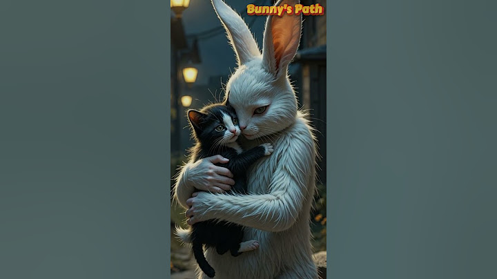 "Rabbits Can Still Be Heroes!" Rabbit friend fall sick