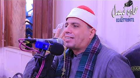 يسلام على جمال التلاوه قارئ يخطف قلبك وعقلك❤️ روائع الشيخ محمد مصطفى ابوالمعاطي / ليالي أجا