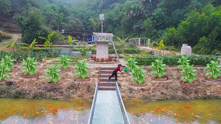 Download Lagu Building Durable Red Brick Plant Beds for a Sustainable Outdoor Space - Planting Zucchini Seedlings MP3