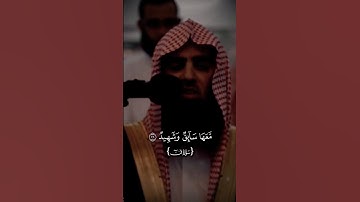 سورة ق، الشيخ محمد اللحيدان. #قران_كريم #حديث_صحيح #لايك #quranforeever #حالات_واتس #تيك_توك #دويتو