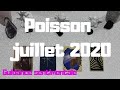 Poisson juillet 2020, Attention ça bouge!!!