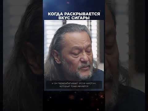 Когда раскрывается вкус сигары | Лекции с Эркином Тузмухамедовым и Артуром Шиляевым #shorts