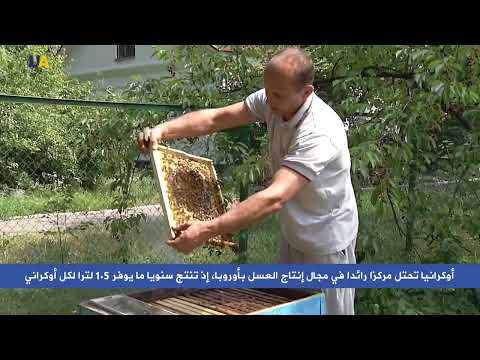 أوكرانيا تتفوق بإنتاج العسل في أوروبا