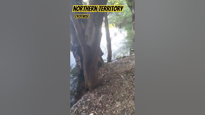 biggest croc in the world seen here northern territory Australia...