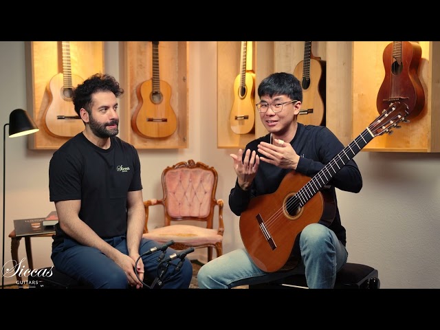 Hermann Hauser III - 1995 - No. 379 Classical Guitar Review