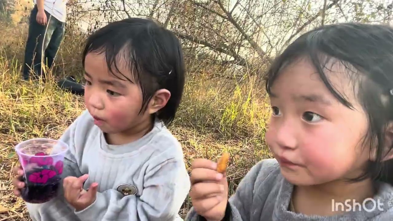 Small picnic 🧺 #funny #vlogs 