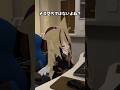 メス堕ちしたことはありますか？