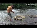 Wild fishing, Build a whirlpool system to catch fish, Experience simple catching many fishes