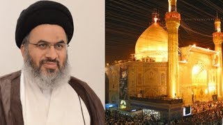 السيد هاشم الهاشمي: المؤمن الممتحن في محبة أمير المؤمنين علية السلام